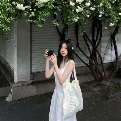 寻秦记粤语